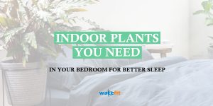 best plants for bedroom