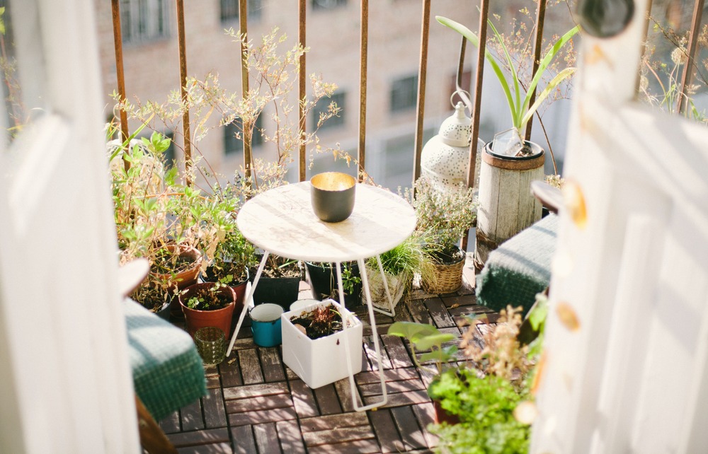 Home Plants to Add to Cozy Small Balcony Ideas