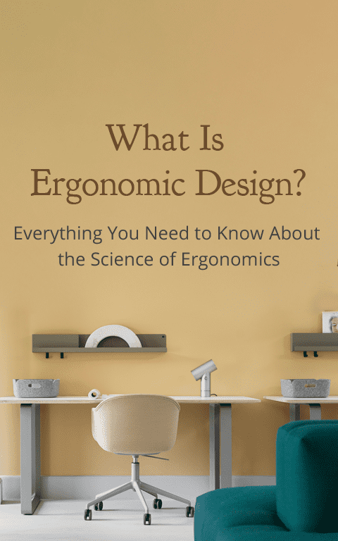 Ergonomic Design : All About 2022 Workplace Ergonomics